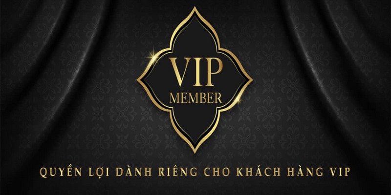 Trước khi trở thành thành viên VIP tại Typhu88 hãy đọc kỹ các điều khoản